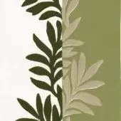 Sophora - Blanc _ olive